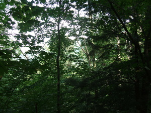 Appalachian Trail Appalachian Trail