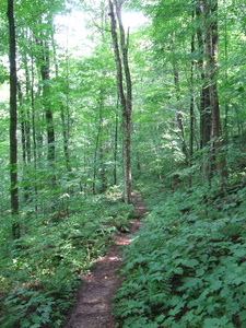 Appalachian Trail Appalachian Trail