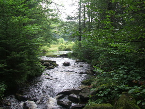 Appalachian Trail Appalachian Trail