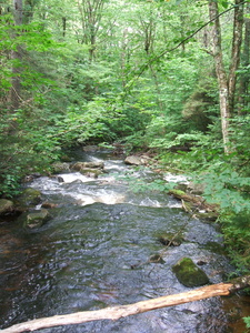 Appalachian Trail Appalachian Trail