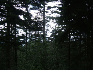 Appalachian Trail Appalachian Trail