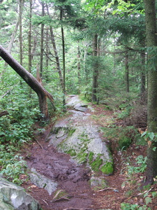 Appalachian Trail Appalachian Trail