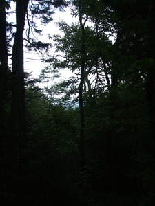 Appalachian Trail Appalachian Trail