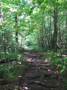 Appalachian Trail Appalachian Trail