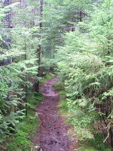 Appalachian Trail Appalachian Trail
