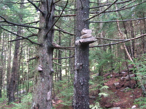 Appalachian Trail Rock Monument, Probably near White Rocks Cliff (43.432728,-72.943303) Appalachian Trail Rock Monument, Probably near White Rocks Cliff (43.432728,-72.943303)