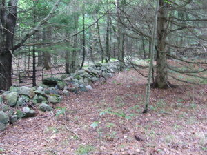 Appalachian Trail Stone Wall Appalachian Trail Stone Wall