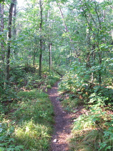 Appalachian Trail Appalachian Trail