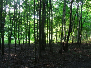 Appalachian Trail Appalachian Trail