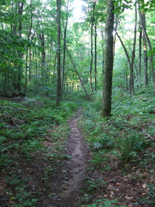 Appalachian Trail Appalachian Trail