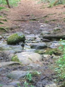 Appalachian Trail Sound Recording Appalachian Trail Sound Recording