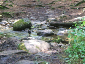 Appalachian Trail Sound Recording Appalachian Trail Sound Recording