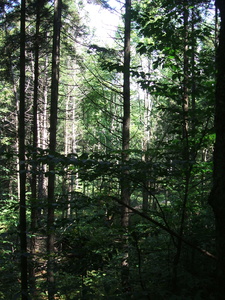 Appalachian Trail Appalachian Trail
