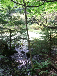 Appalachian Trail Appalachian Trail