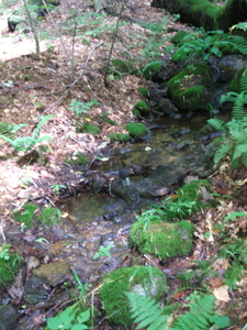 Appalachian Trail Sound Recording Appalachian Trail Sound Recording