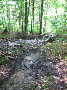 Appalachian Trail Appalachian Trail