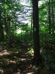Appalachian Trail Appalachian Trail