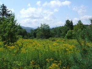 Appalachian Trail Meadow Appalachian Trail Meadow
