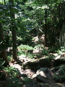 Appalachian Trail Appalachian Trail