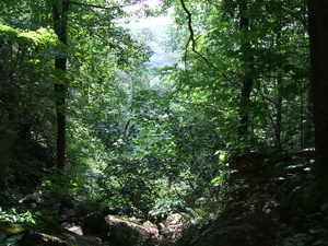 Appalachian Trail Appalachian Trail