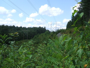Appalachian Trail Power line (43.520615, -72.919910) Appalachian Trail Power line (43.520615, -72.919910)