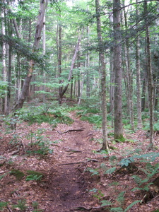 Appalachian Trail Appalachian Trail
