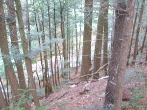 Appalachian Trail Appalachian Trail