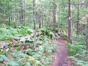 Appalachian Trail Appalachian Trail