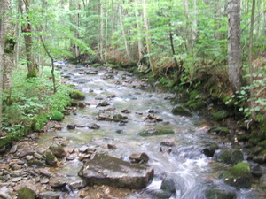 Appalachian Trail Appalachian Trail