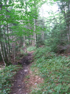 Appalachian Trail Appalachian Trail