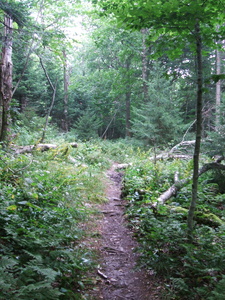 Appalachian Trail Appalachian Trail