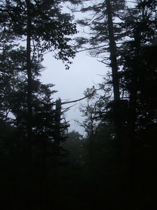 Appalachian Trail Appalachian Trail