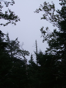 Appalachian Trail Appalachian Trail