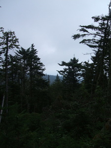 Appalachian Trail Appalachian Trail