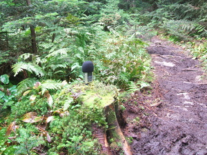 Appalachian Trail Sound Recording Appalachian Trail Sound Recording