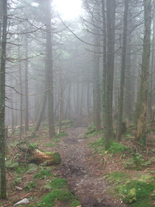 Appalachian Trail Appalachian Trail