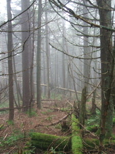 Appalachian Trail Appalachian Trail