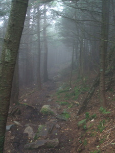 Appalachian Trail Appalachian Trail