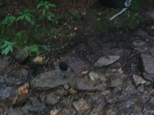 Appalachian Trail Sound Recording Appalachian Trail Sound Recording