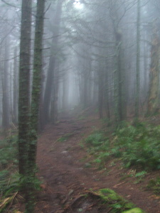 Appalachian Trail Appalachian Trail