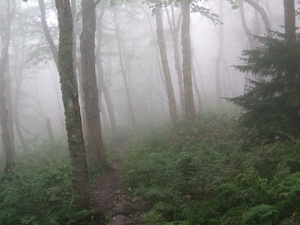 Appalachian Trail Appalachian Trail