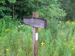 Appalachian Trail Appalachian and Long Trail, North & South Appalachian Trail Appalachian and Long Trail, North & South