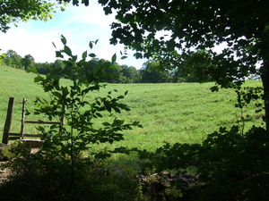 Appalachian Trail Field Appalachian Trail Field