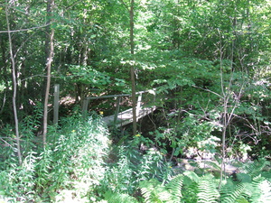 Appalachian Trail Appalachian Trail