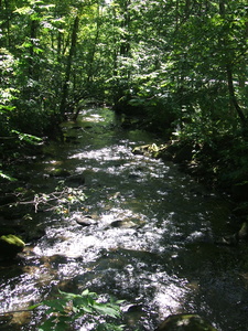 Appalachian Trail Appalachian Trail