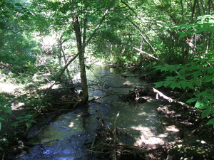 Appalachian Trail Appalachian Trail
