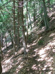 Appalachian Trail Appalachian Trail