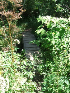 Appalachian Trail Appalachian Trail