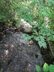 Appalachian Trail Appalachian Trail