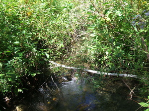 Appalachian Trail Appalachian Trail